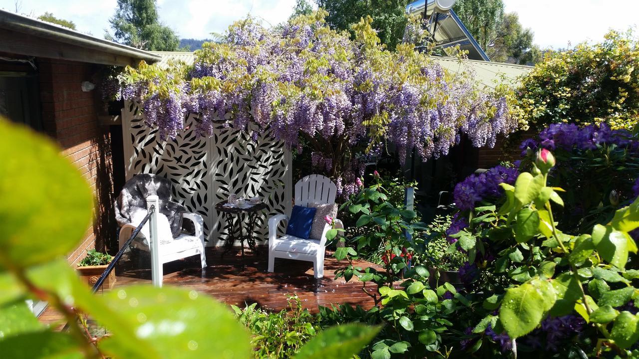 Birch Lane Bed and Breakfast Cradoc Exteriör bild